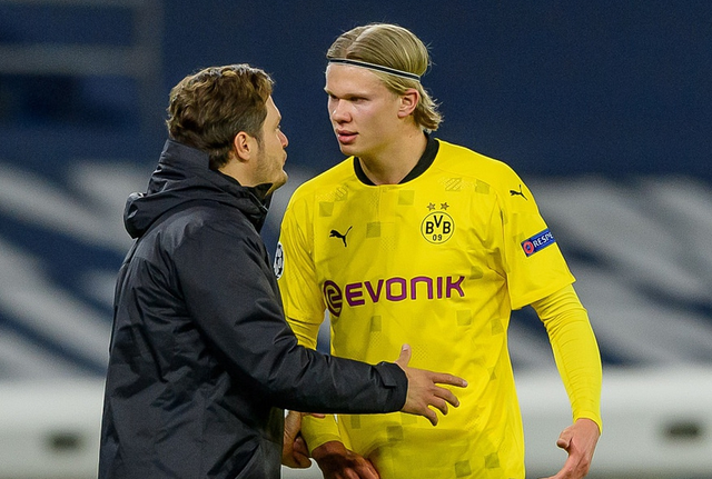 洪明甫：会派分析师去看非洲杯；世界杯阵容可能有新面孔（洪明甫称将派分析师赴非洲杯观赛，世界杯阵容或迎新面孔）